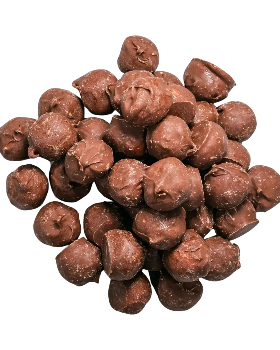 Peanut butter balls in chocolate gift box for clients